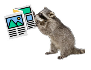 A raccoon reading a zine.